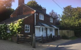 The Cottage